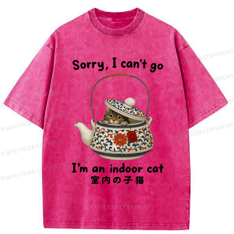 Kyoto-Lion Cat Hiding In The Tea Set Washed T-Shirt