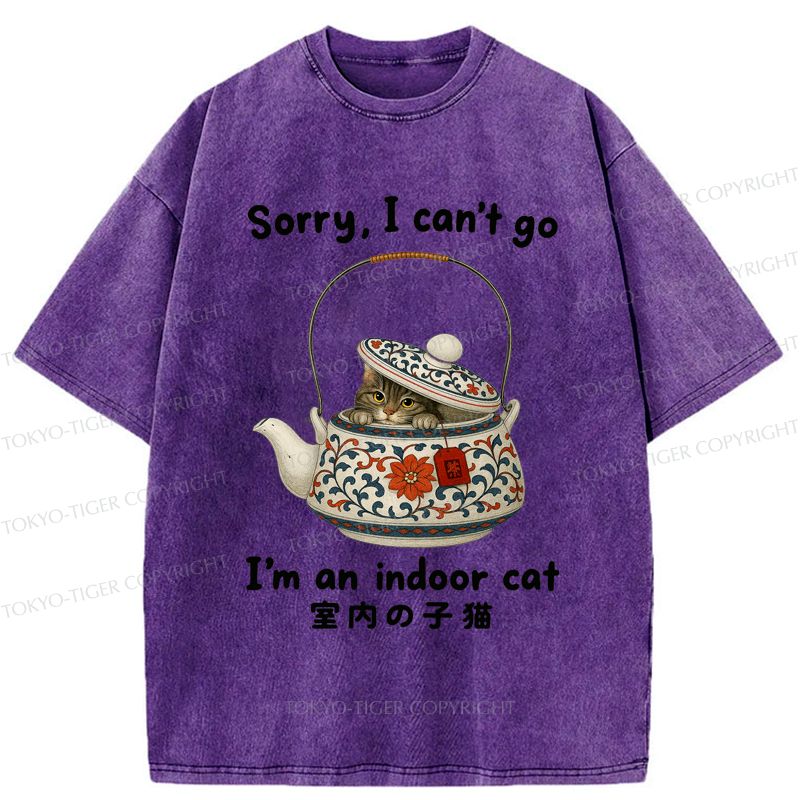 Washed cat t-shirt limited edition