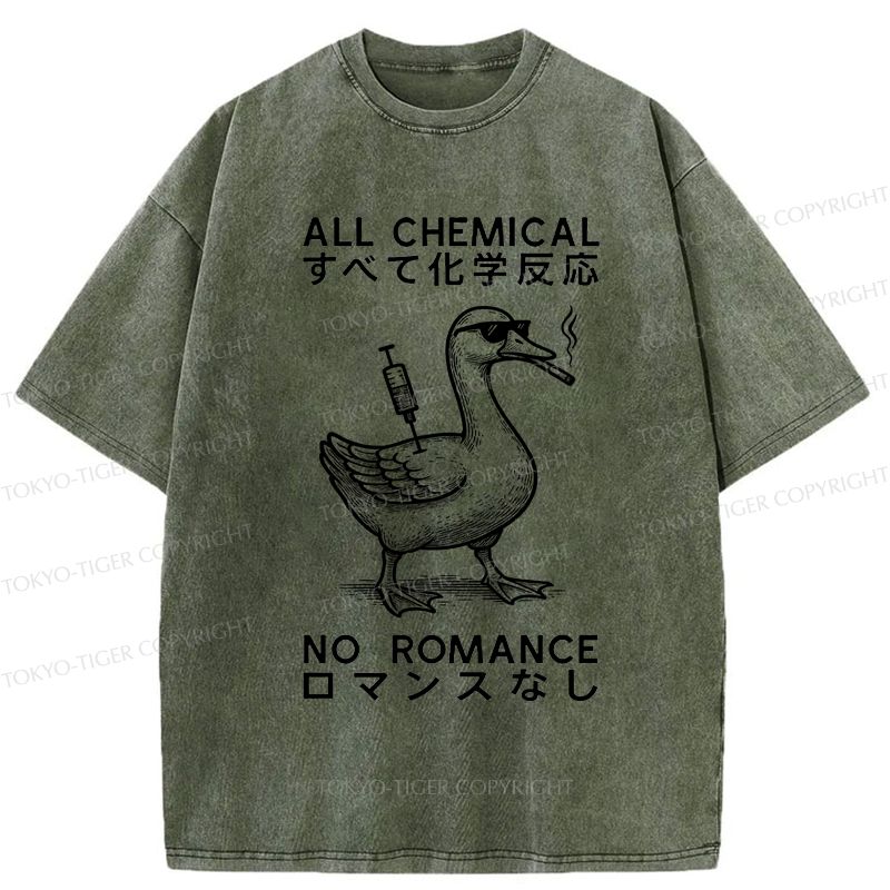 Kyoto-Lion Silly Goose£ºAll Chemical No Romance Washed T-Shirt