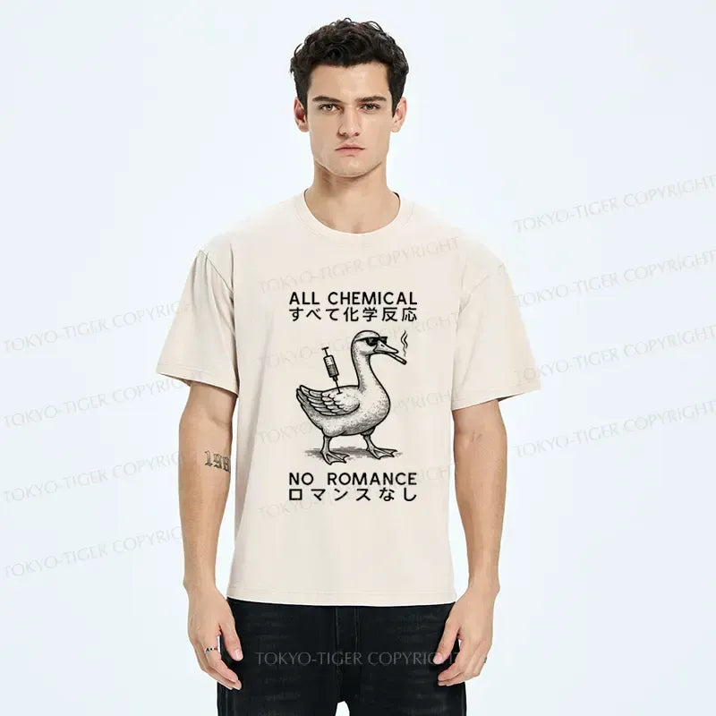 Kyoto Lion Washed T-Shirt for Daily Wear