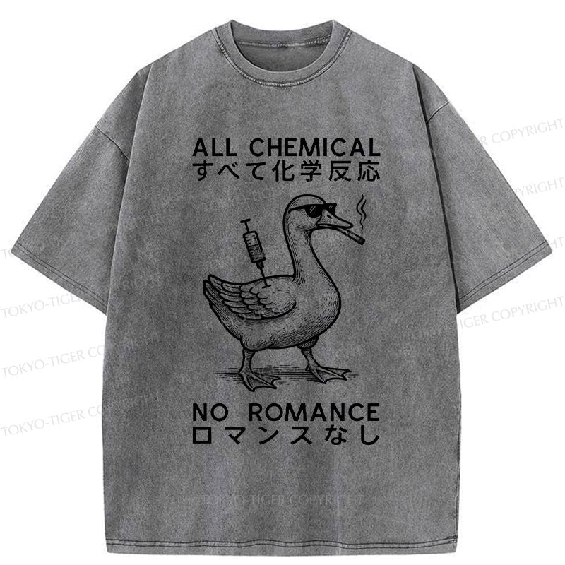 Kyoto-Lion Silly Goose£ºAll Chemical No Romance Washed T-Shirt