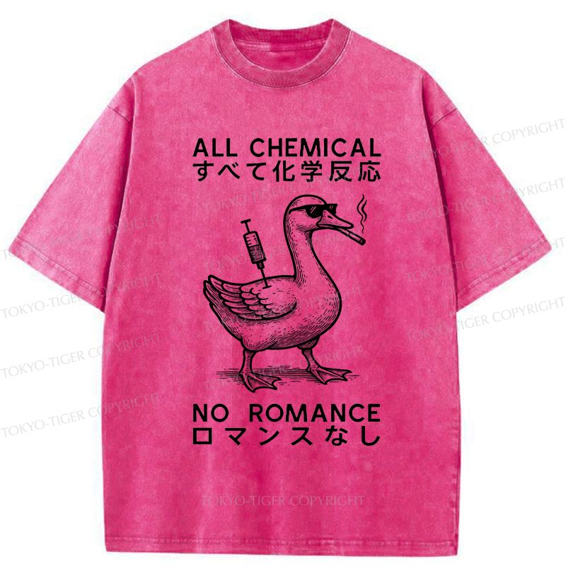 Kyoto Lion Washed T-Shirt for Daily Wear