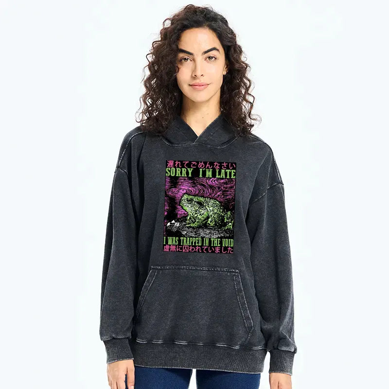 kyoto lion frog washed hoodie for streetwear