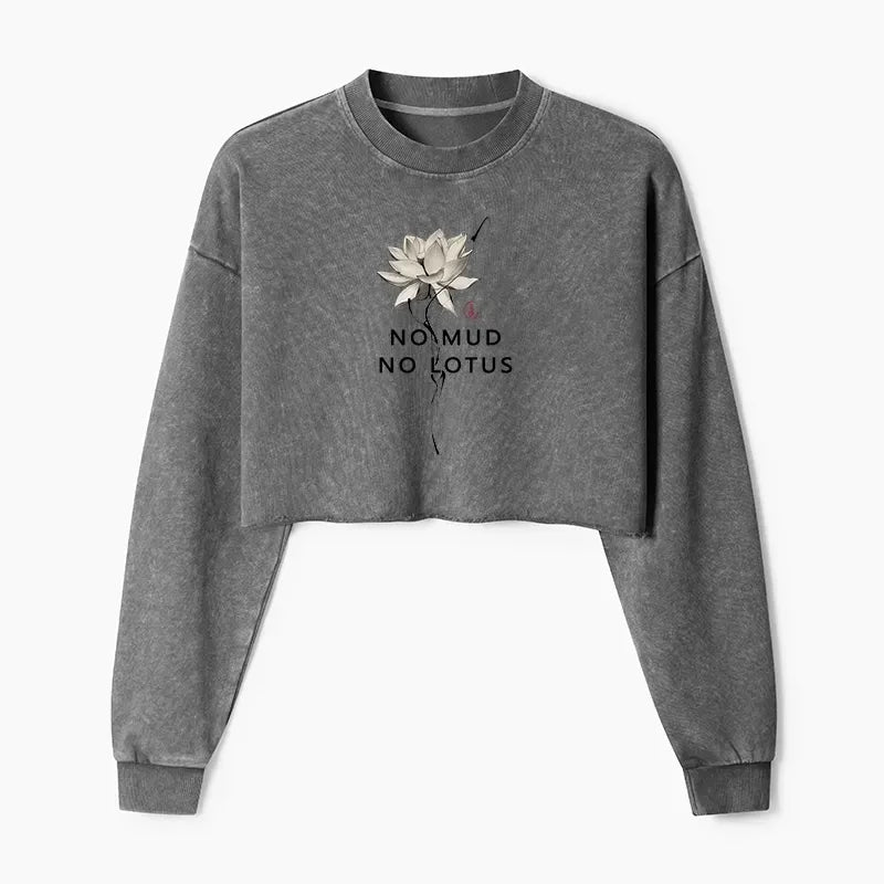 Kyoto Lion Washed Sweatshirt for Daily Wear