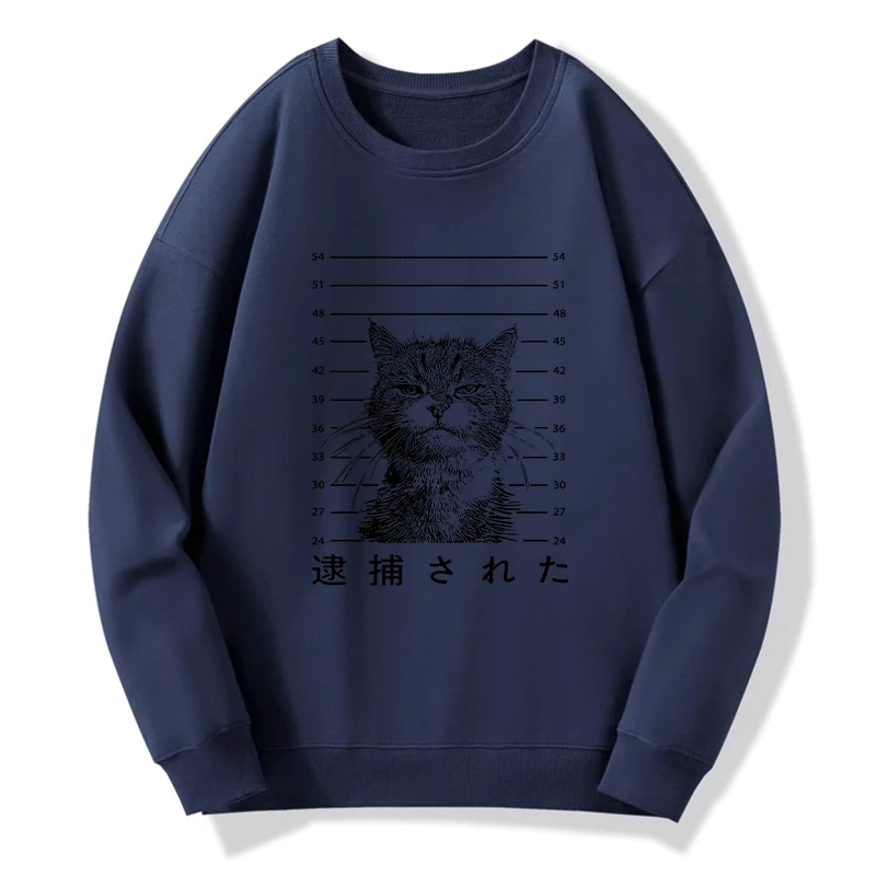 kyoto lion cat sweatshirt gift idea