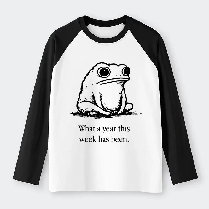 Kyoto-Lion This Week Feels Like A Whole Year Raglan Long Sleeve T-shirt