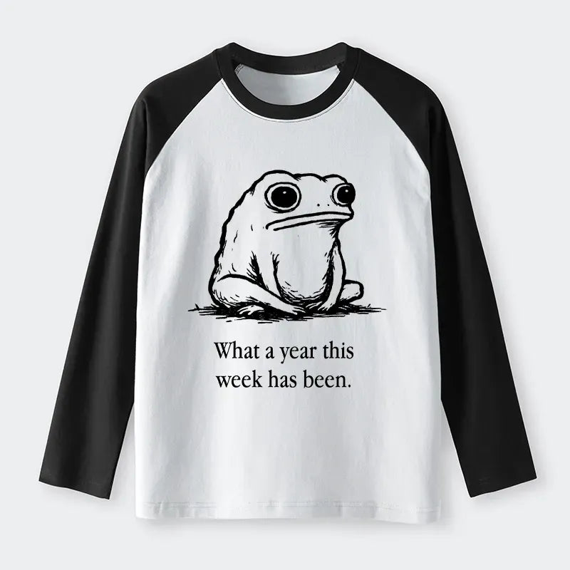 Japanese Vintage Raglan T-Shirt for Everyday