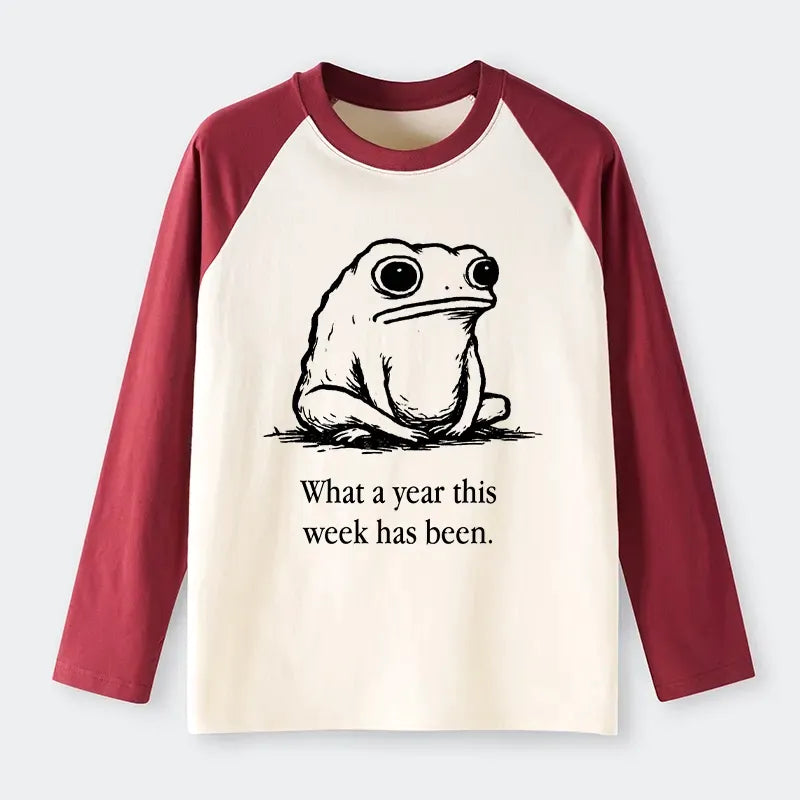 Kyoto-Lion This Week Feels Like A Whole Year Raglan Long Sleeve T-shirt