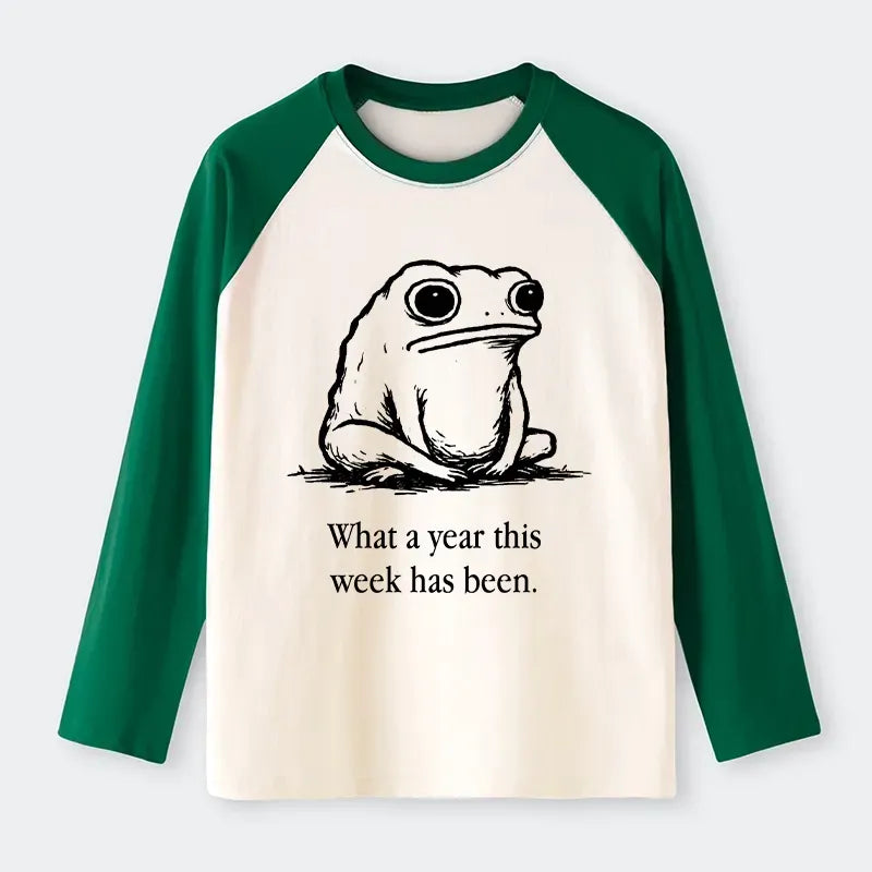 Japanese Vintage Raglan T-Shirt for Everyday