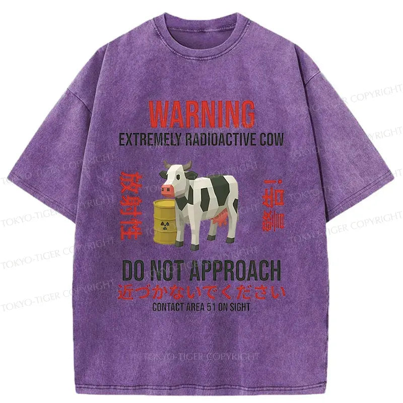 Kyoto Lion Washed Tee Gift Idea