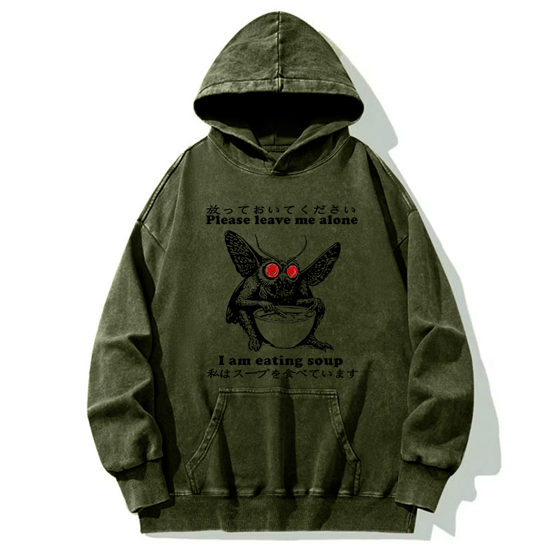 Kyoto-Lion Don't Bother The Mothman Washed Hoodie