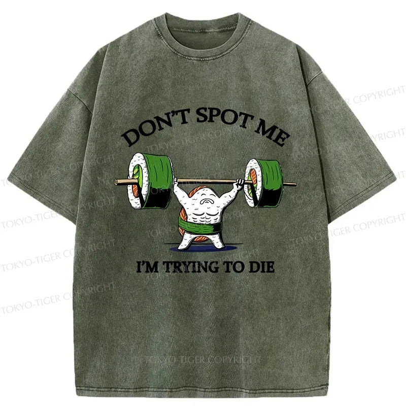 Kyoto Lion Vintage T-Shirt on Sale