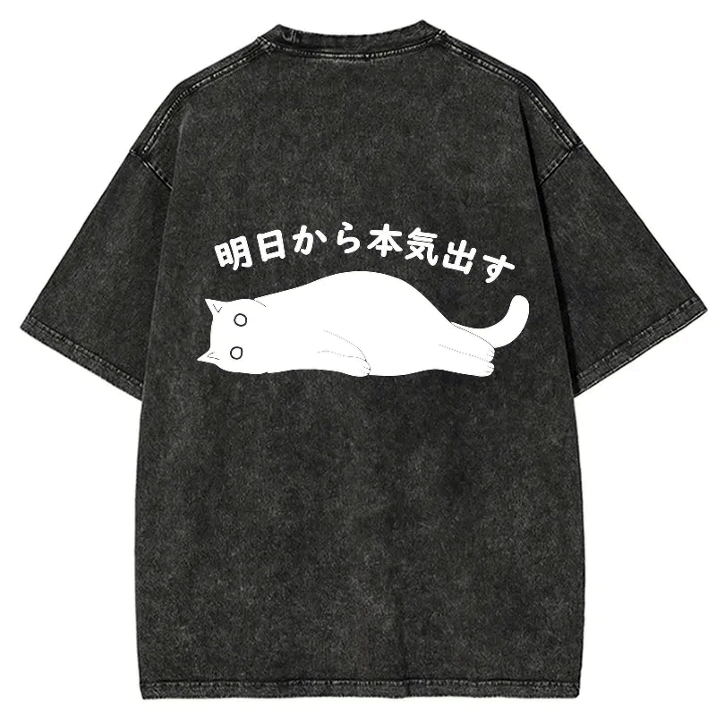 Kyoto lion funny t-shirt for men