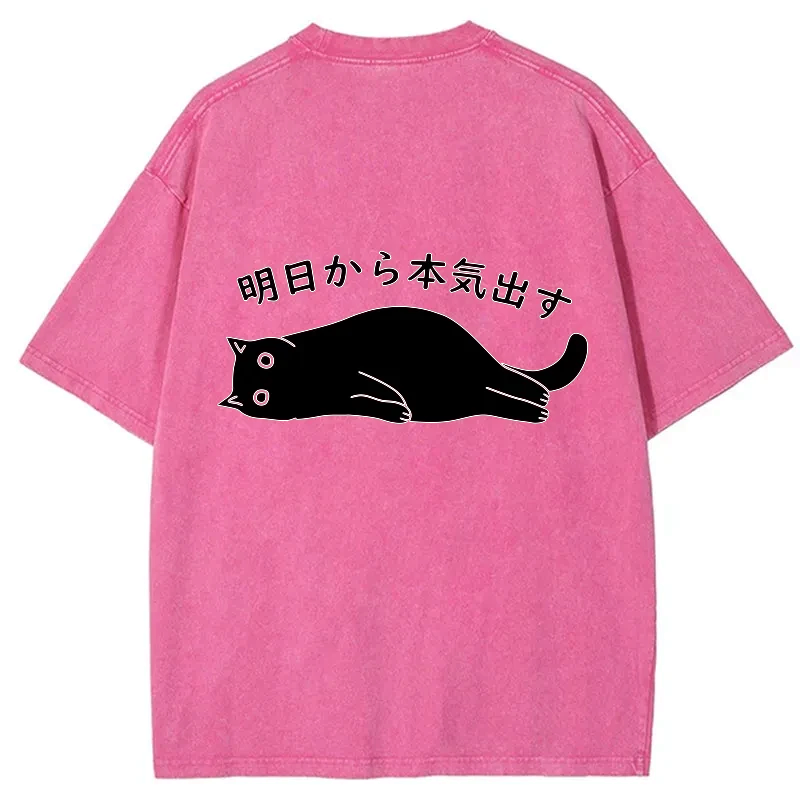 Kyoto lion funny t-shirt for men