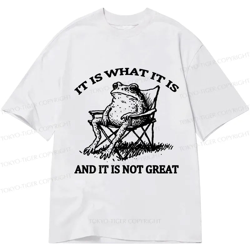 Kyoto-Lion Resting Frog Funny Classic T-Shirt