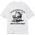 Kyoto-Lion Resting Frog Funny Classic T-Shirt