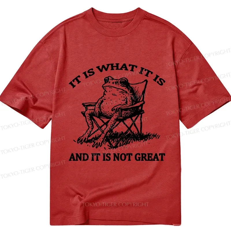Kyoto-Lion Resting Frog Funny Classic T-Shirt