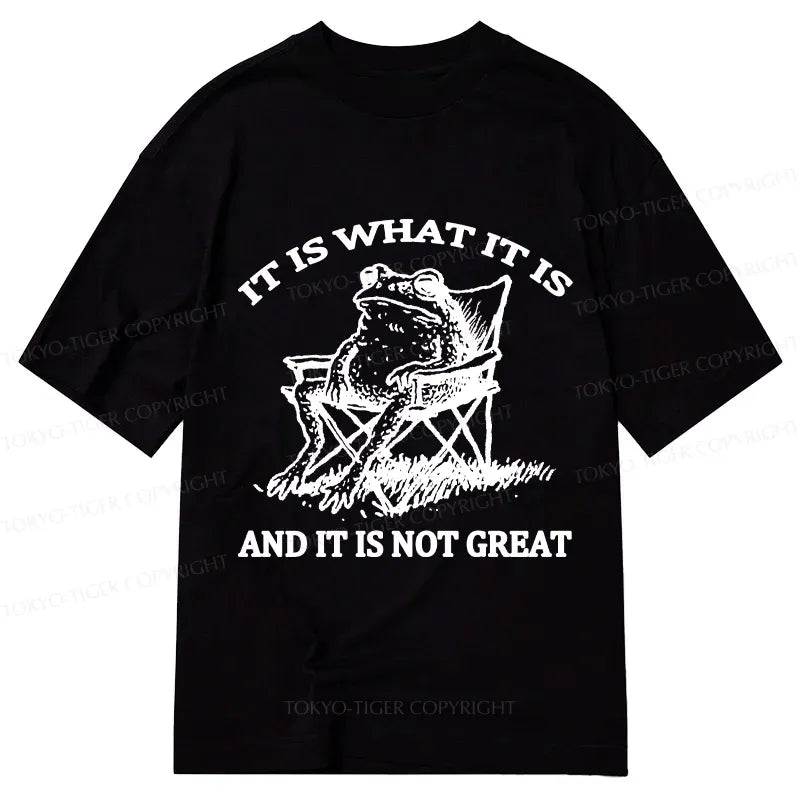 Funny Frog Japanese T-Shirt for Daily Wear
