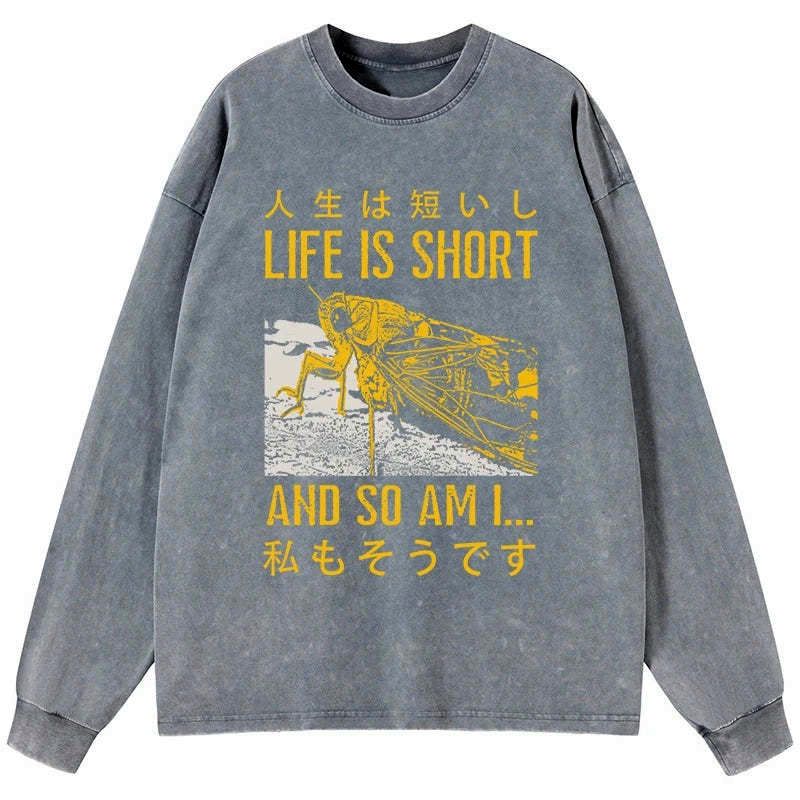 unisex cotton washed tee for daily wear