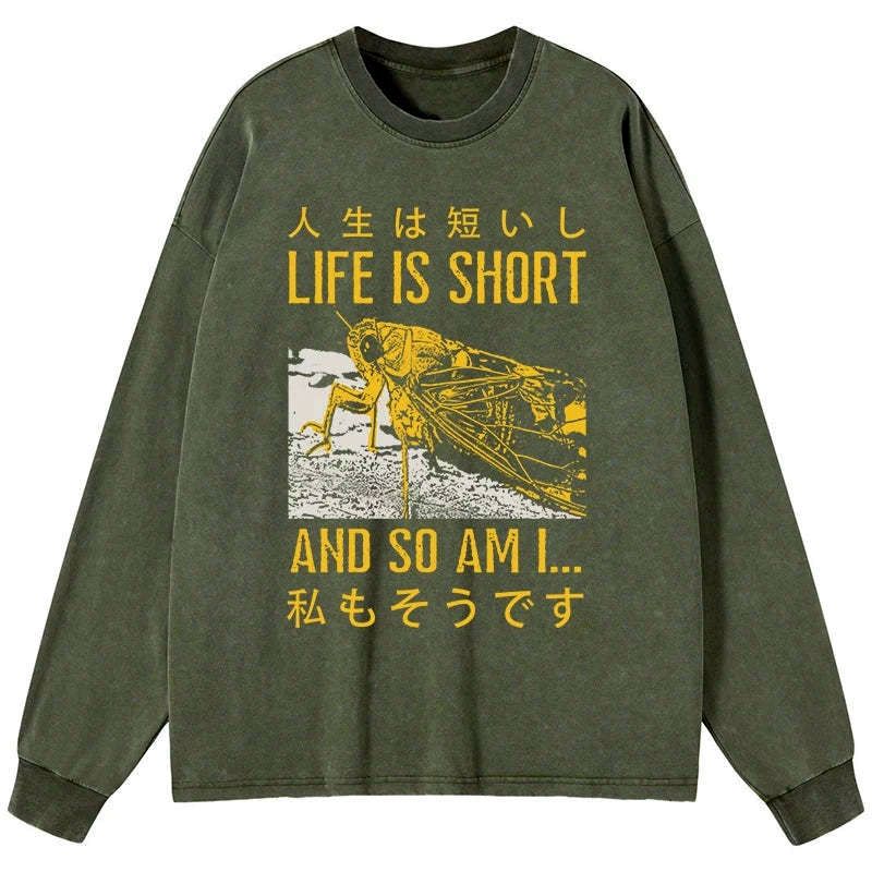 unisex cotton washed tee for daily wear