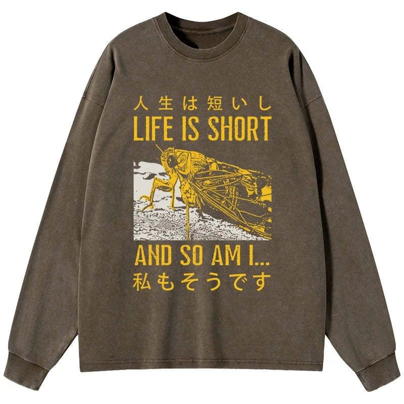 Kyoto-Lion A Grasshopper With A Short Life Washed Long Sleeve T-Shirt