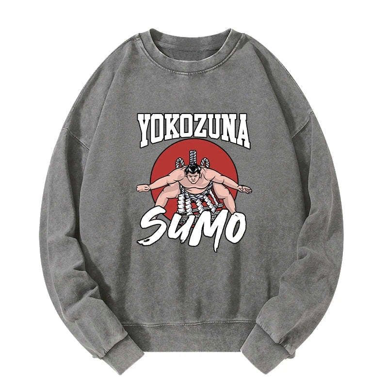 washed sweatshirt with Kyoto lion