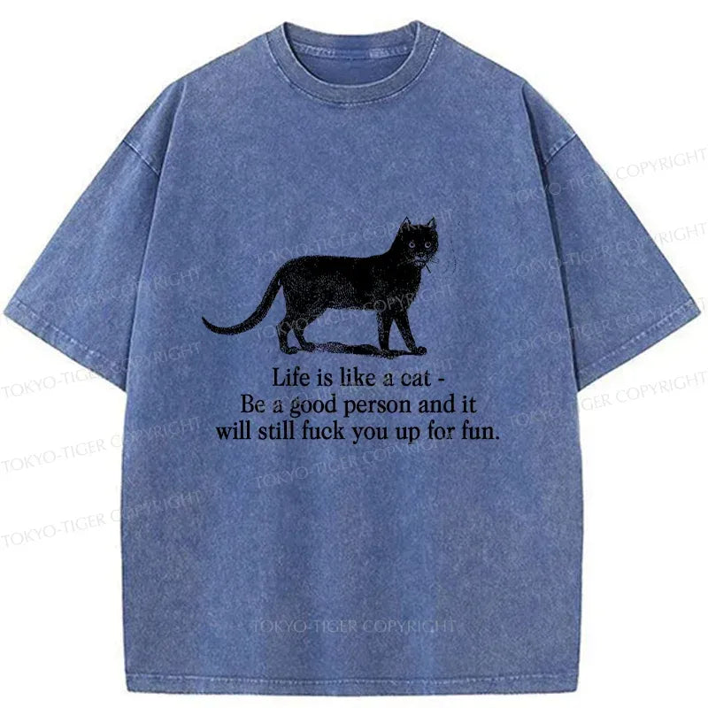 Kyoto-Lion Life Is Like A Cat Washed T-Shirt