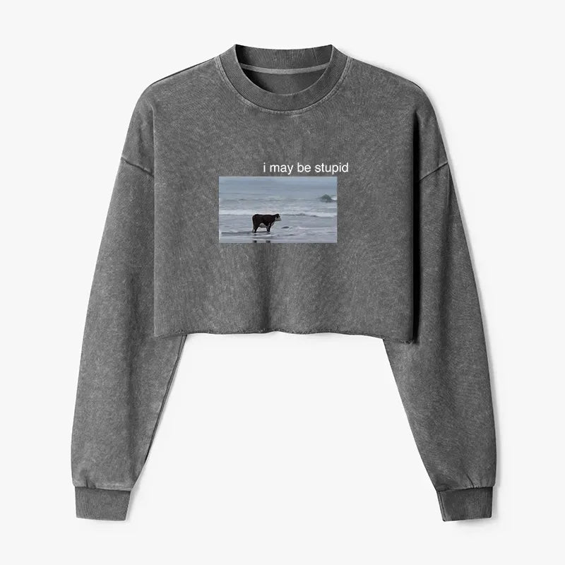 Kyoto-Lion Foolish Cow Washed Crop Sweatshirt
