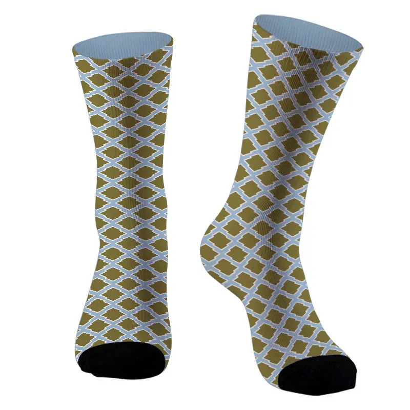 Kyoto lion pattern socks for Japan lovers