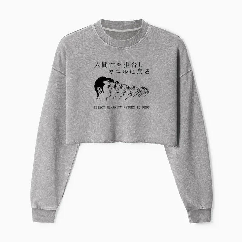 Japanese Vintage Washed Crop Sweatshirt