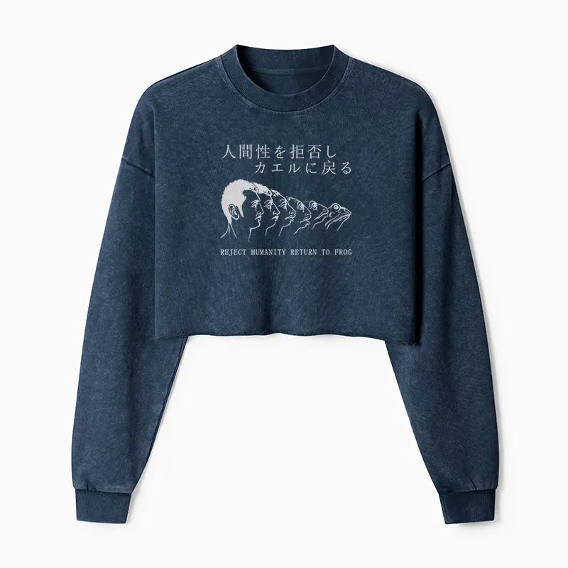 Japanese Vintage Washed Crop Sweatshirt