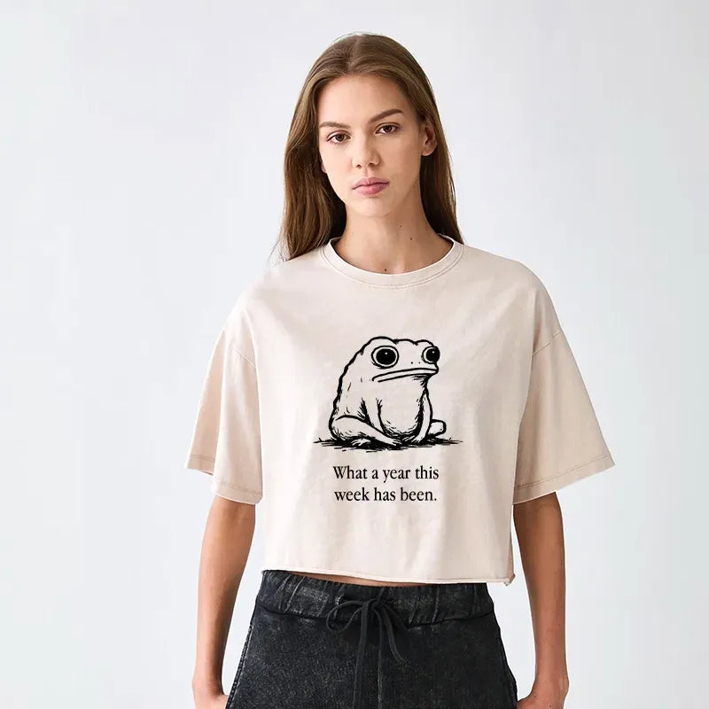 Kyoto-Lion This Week Feels Like A Whole Year Women's Washed Crop T-Shirt