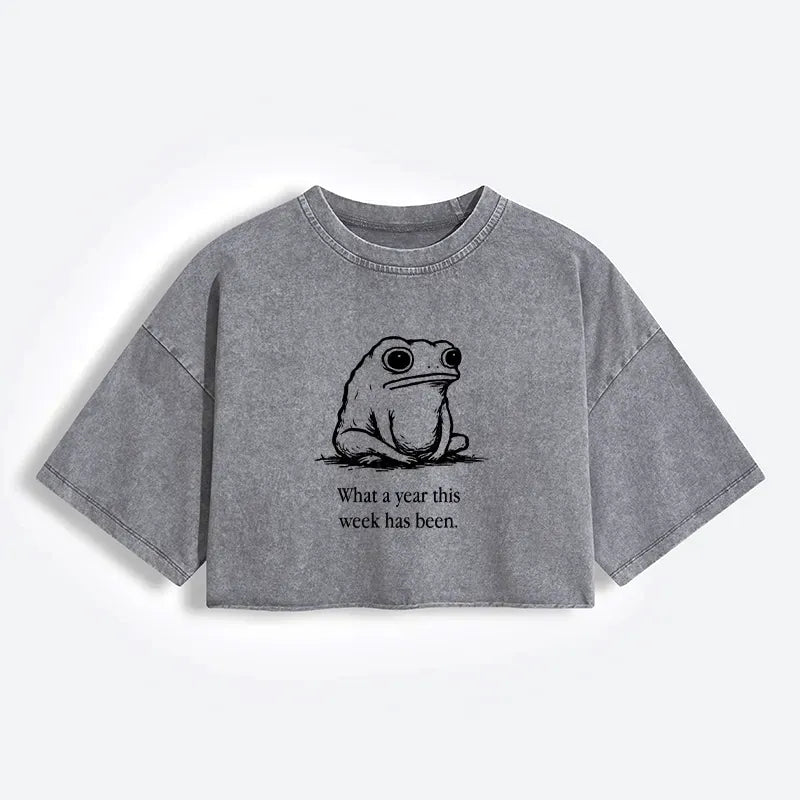 Women's Washed Crop T-Shirt Japanese Style