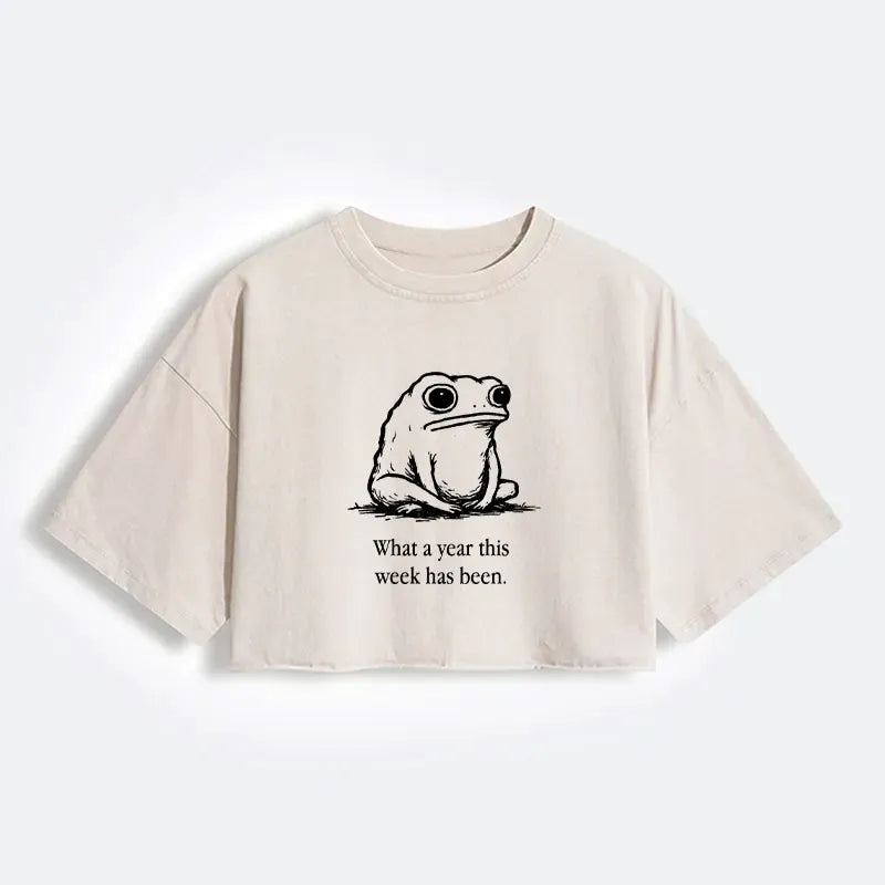 Women's Washed Crop T-Shirt Japanese Style