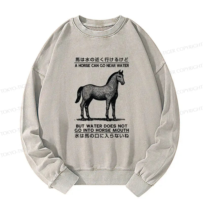 Kyoto-Lion Funny Horse And Water Saying Washed Sweatshirt