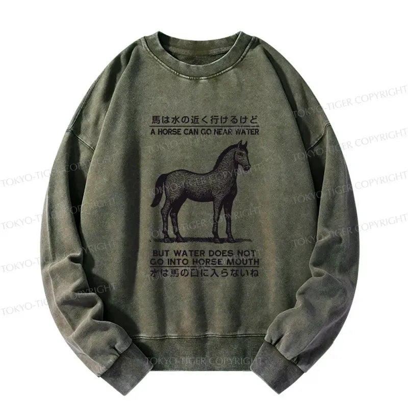 Kyoto Lion funny sweatshirt for daily wear
