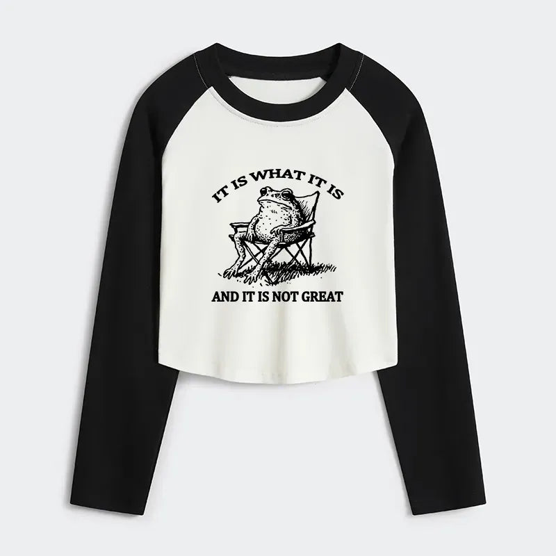 kyoto lion resting frog funny tee streetwear