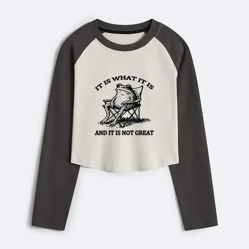 japanese vintage frog t-shirt gift for her