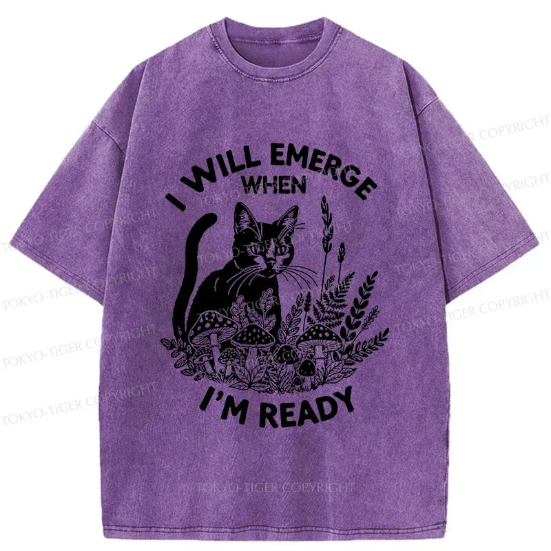 Kyoto Lion Cat Shirt for Summer Vacation
