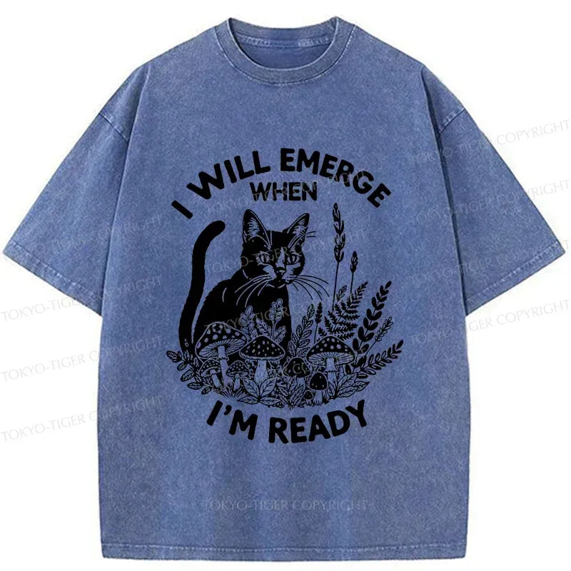 Washed Ukiyo-e Cat Tee for Streetwear