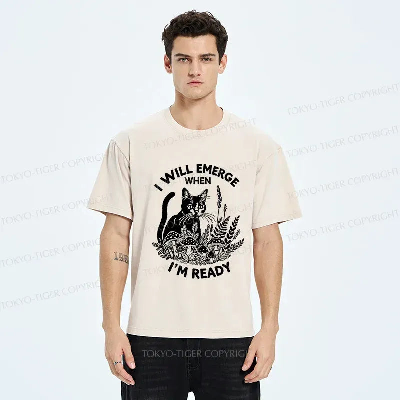 Kyoto-Lion Cat Ready To Appear Washed T-Shirt