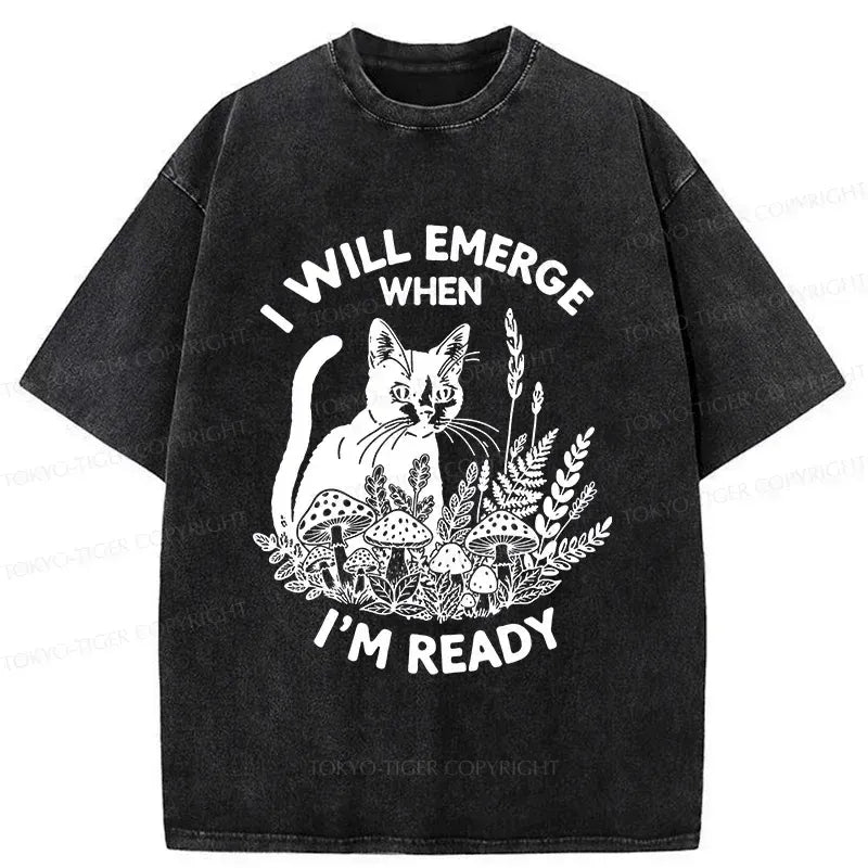 Kyoto Lion Cat Shirt for Summer Vacation