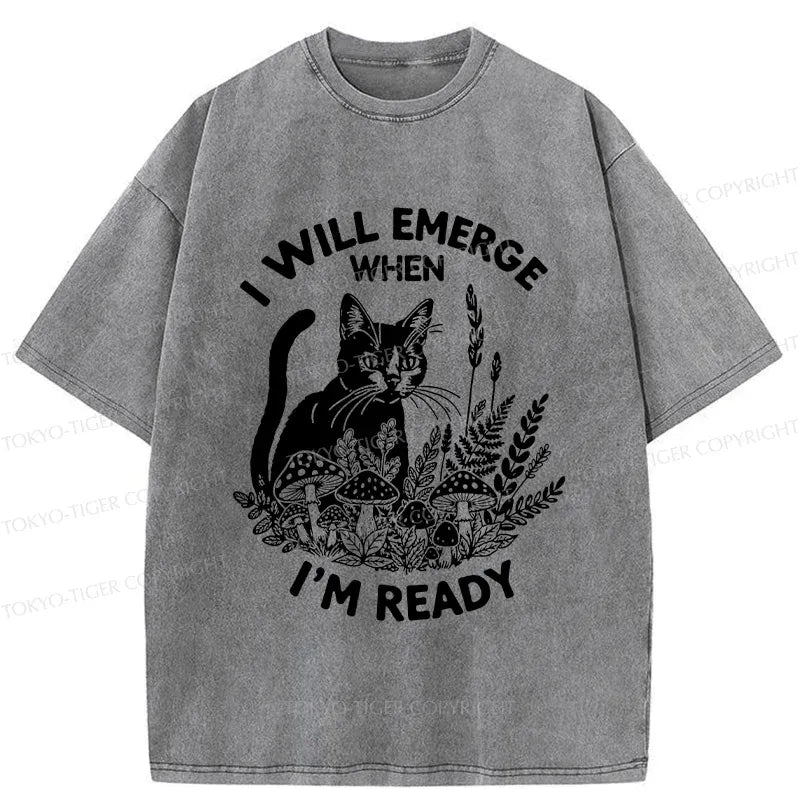 Kyoto-Lion Cat Ready To Appear Washed T-Shirt