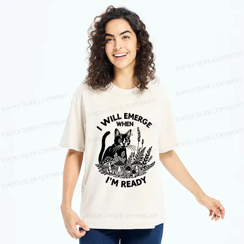 Kyoto Lion Cat Shirt for Summer Vacation