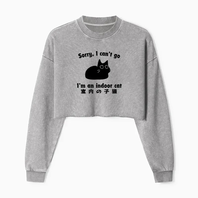 Kyoto-Lion Indoor Kitten Washed Crop Sweatshirt