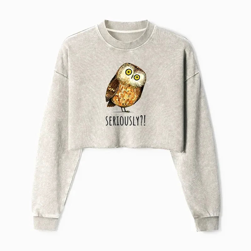 Confused Owl Meme Sweatshirt Best Seller