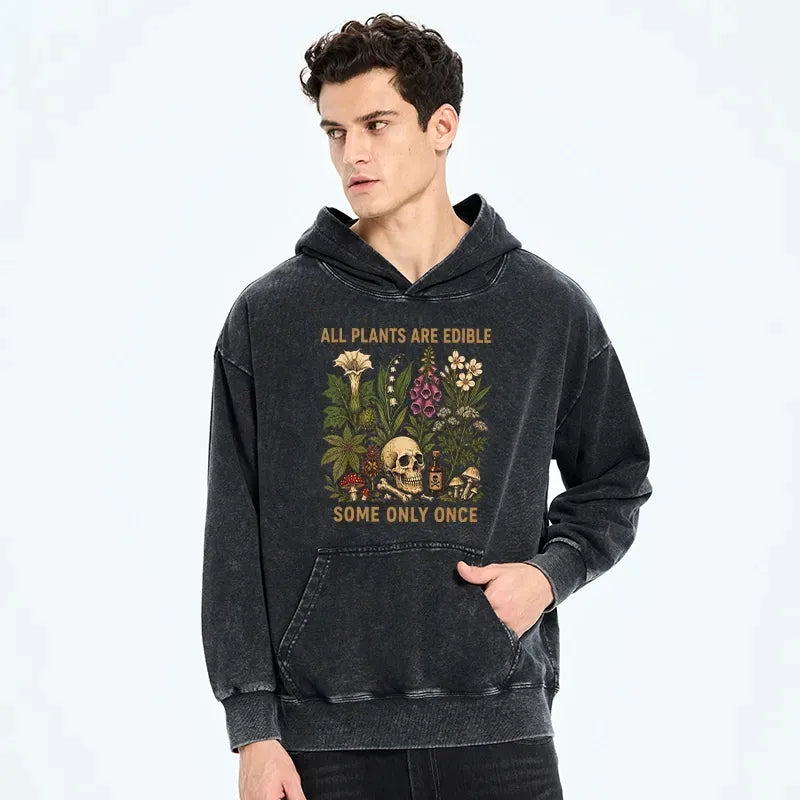 Japanese Kyoto Lion Washed Hoodie for Streetwear