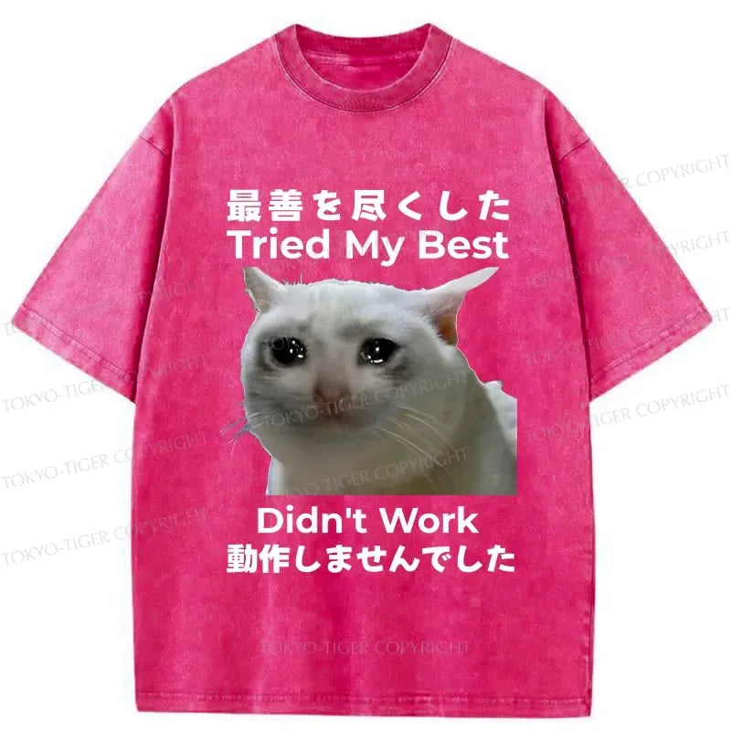 Kyoto-Lion Tried My Best Didn't Work Washed T-Shirt