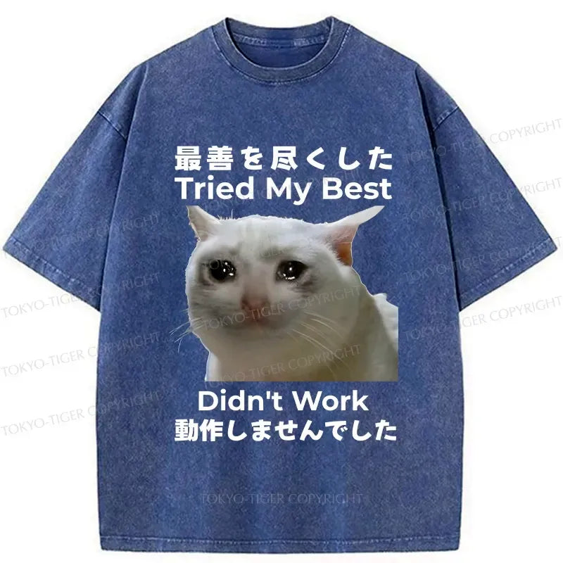 Kyoto-Lion Tried My Best Didn't Work Washed T-Shirt