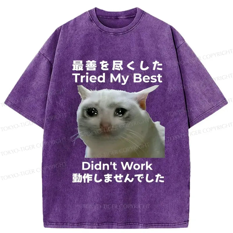 Kyoto Lion funny washed t-shirt